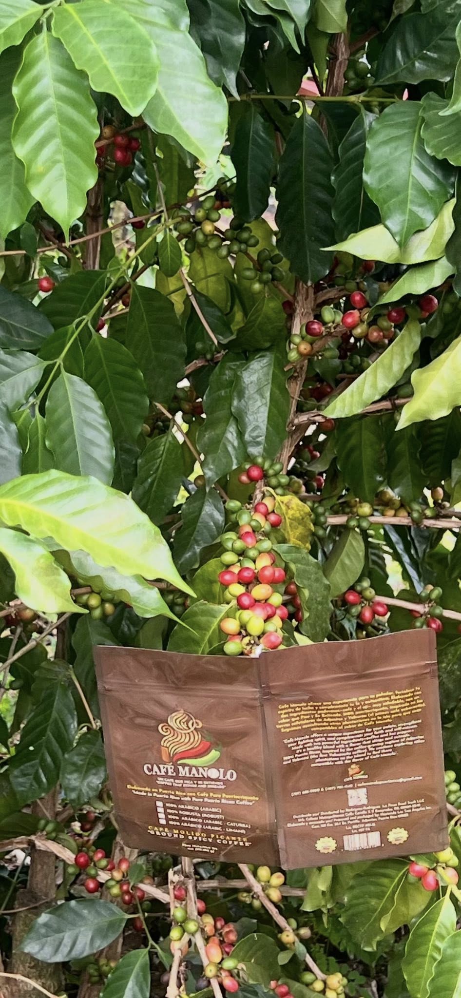 Cafe Manolo - 100% Premium Puerto Rican Coffee 4oz